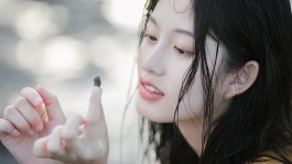天佑与球球直播[1080p]