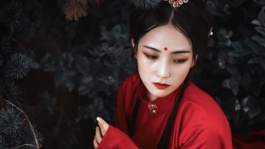 国士黄飞鸿全集[完整版]